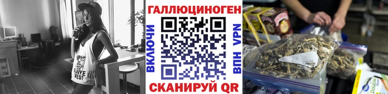 купить наркотик  Новоульяновск  Псилоцибиновые грибы ЛСД 