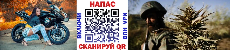 Марихуана семена  где купить   Новоульяновск 